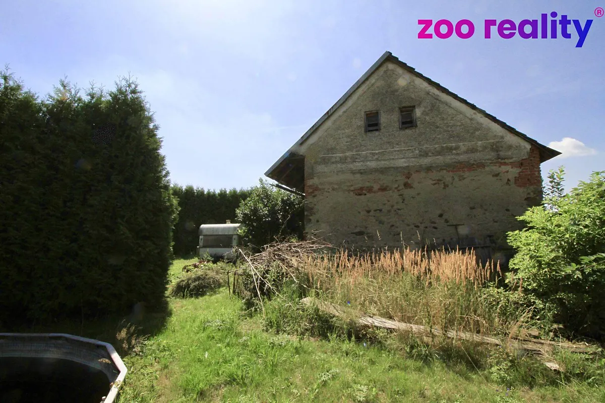 Fotka 12 z 13